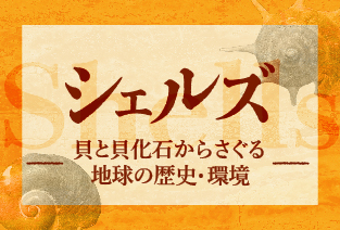 企画展