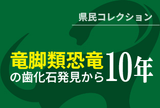 県民コレクション