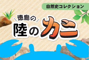 常設展