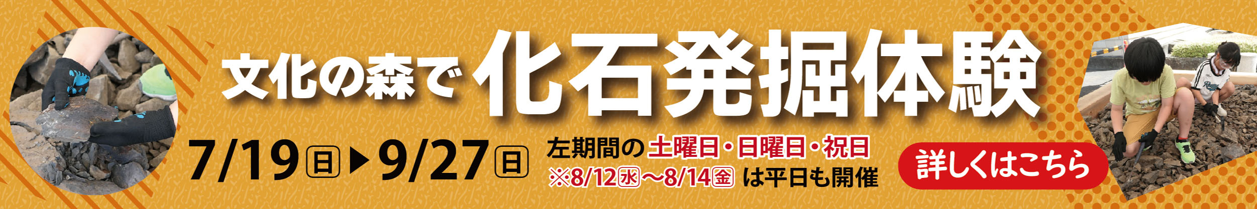 文化の森で化石発掘体験